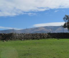 Venta de finca a 5 km de Béjar Venta de finca a 5 km de Béjar